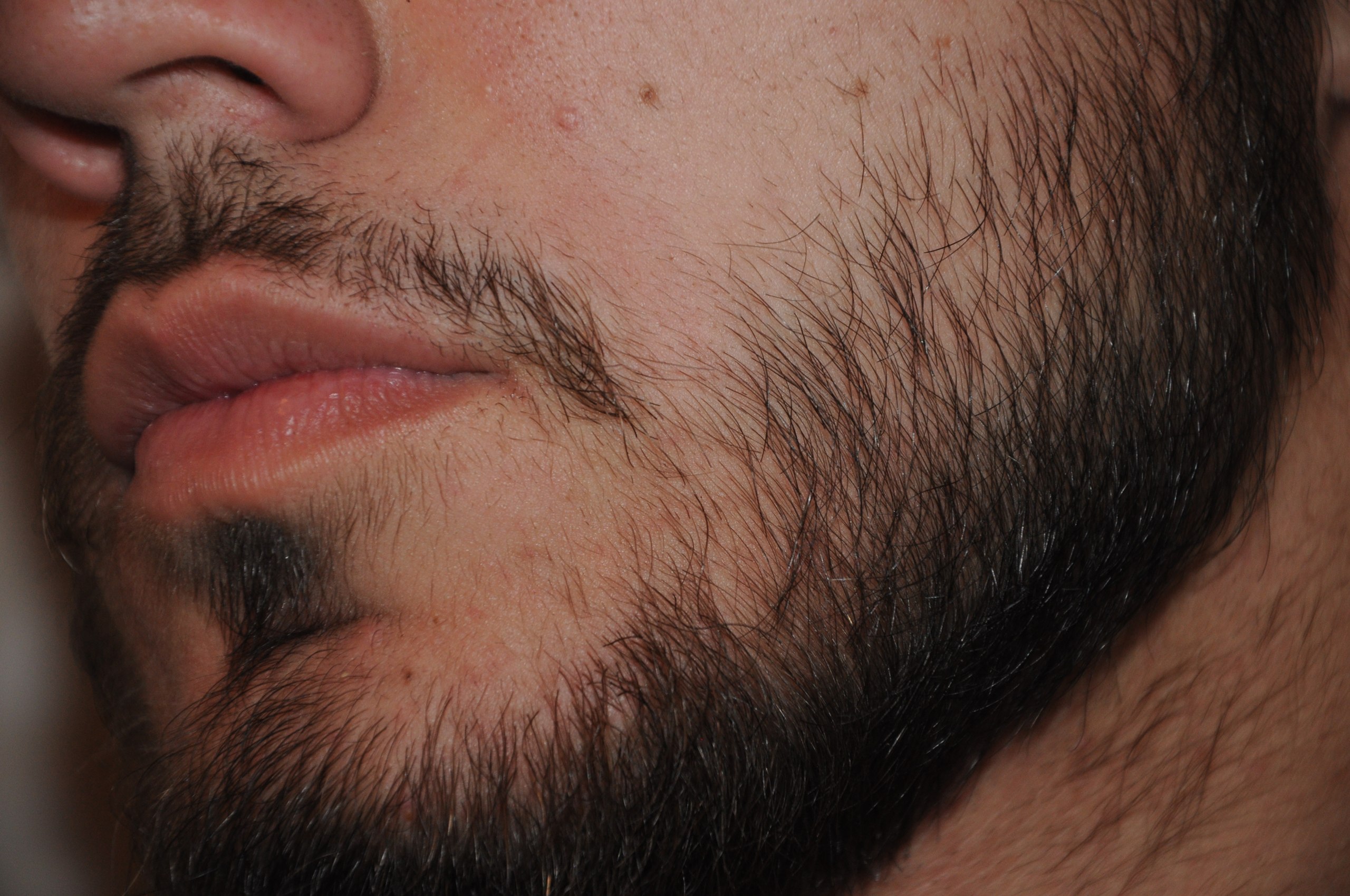 Как отрастить бороду: пошаговая инструкция
