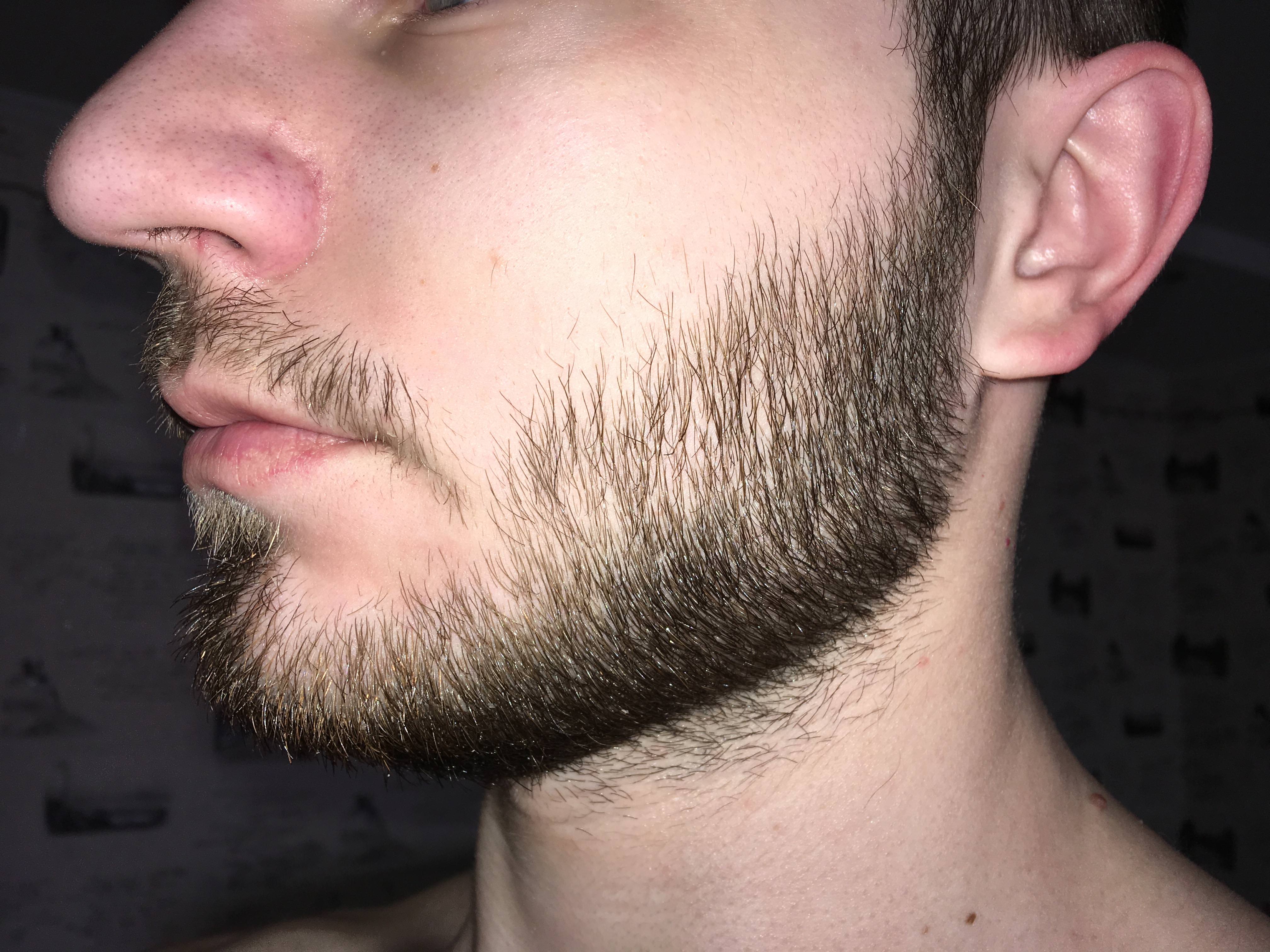 Как часто нужно корректировать бороду