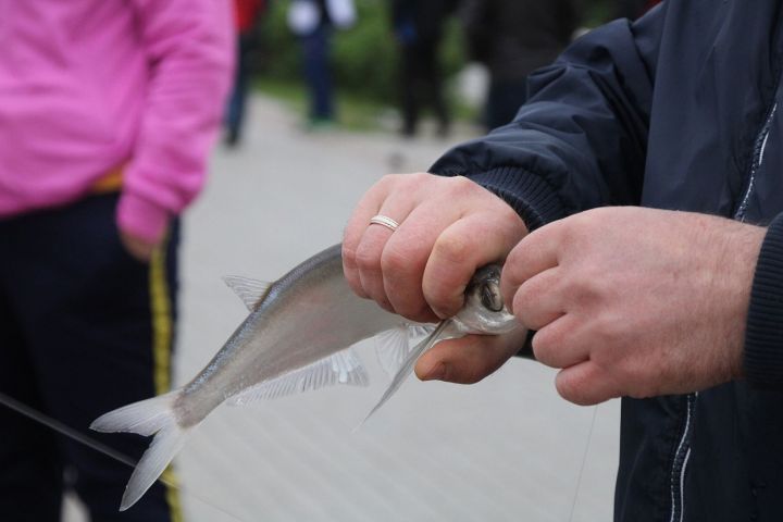Рыбалка в орловской области и рыбалка в орле: платная и бесплатная