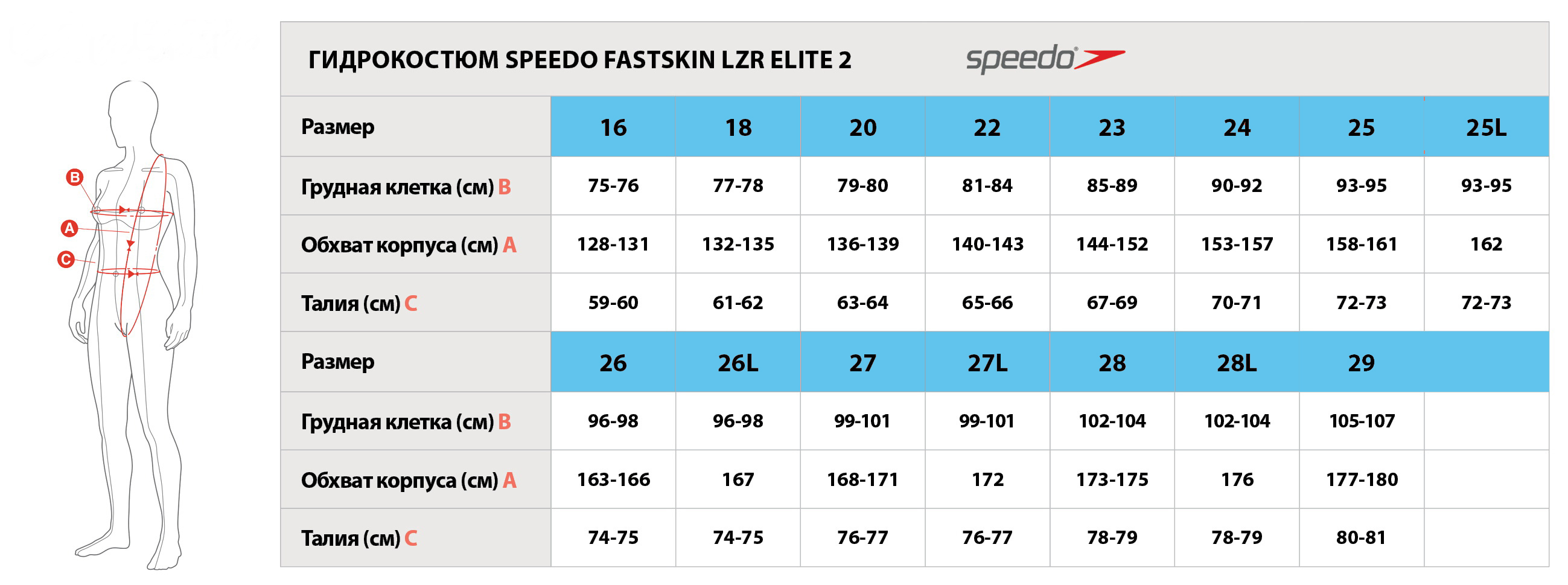 Speedo Fastskin 3 Elite гидрошорты Размерная сетка