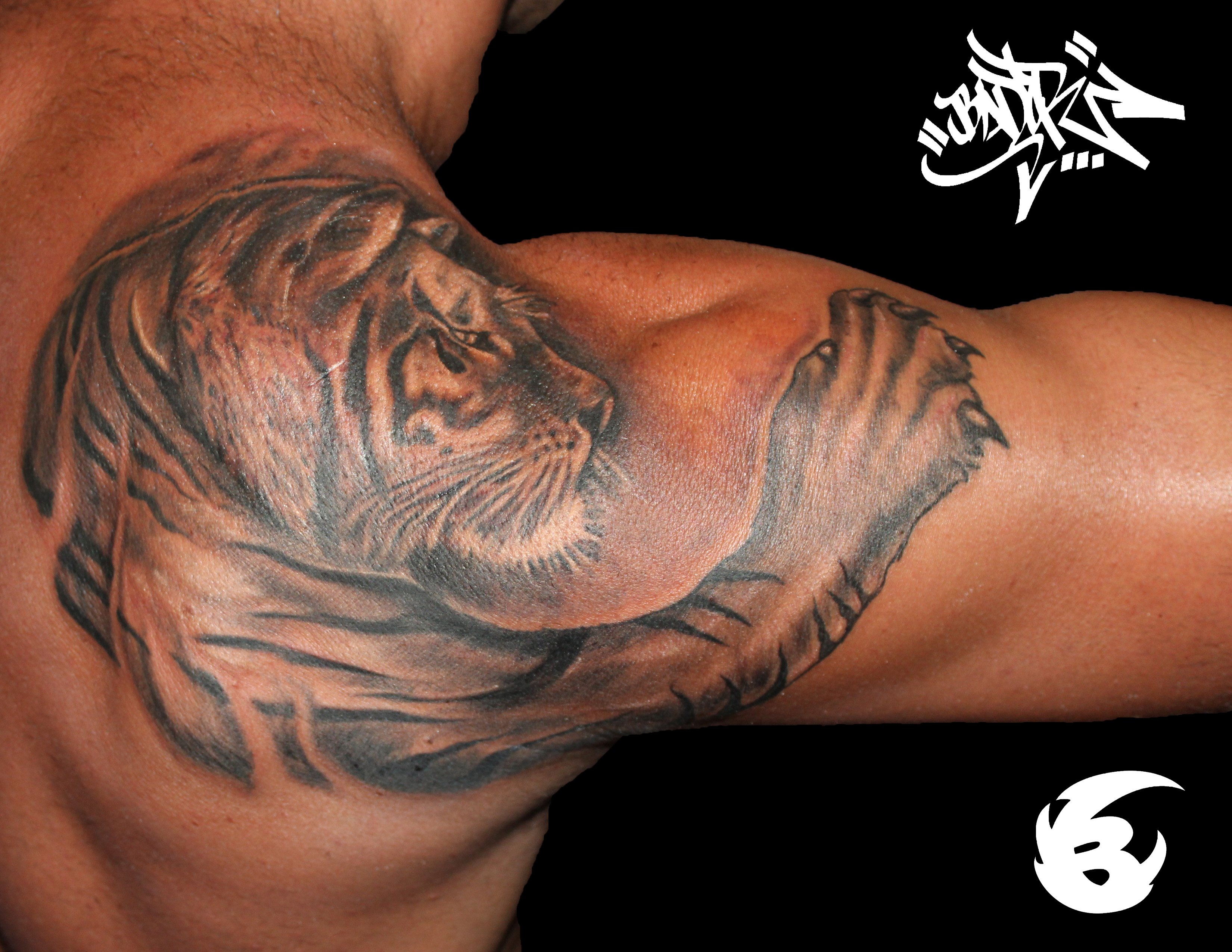 Какое значение имеет татуировка  в виде ласточки для мужчин Где лучше расположить такую тату – на кисти руки, на плечах или на грудине Расскажем об этом в нашей статье