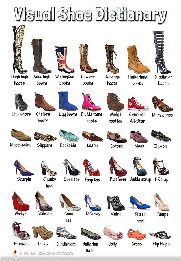 Виды женской обуви: названия, фото и описания