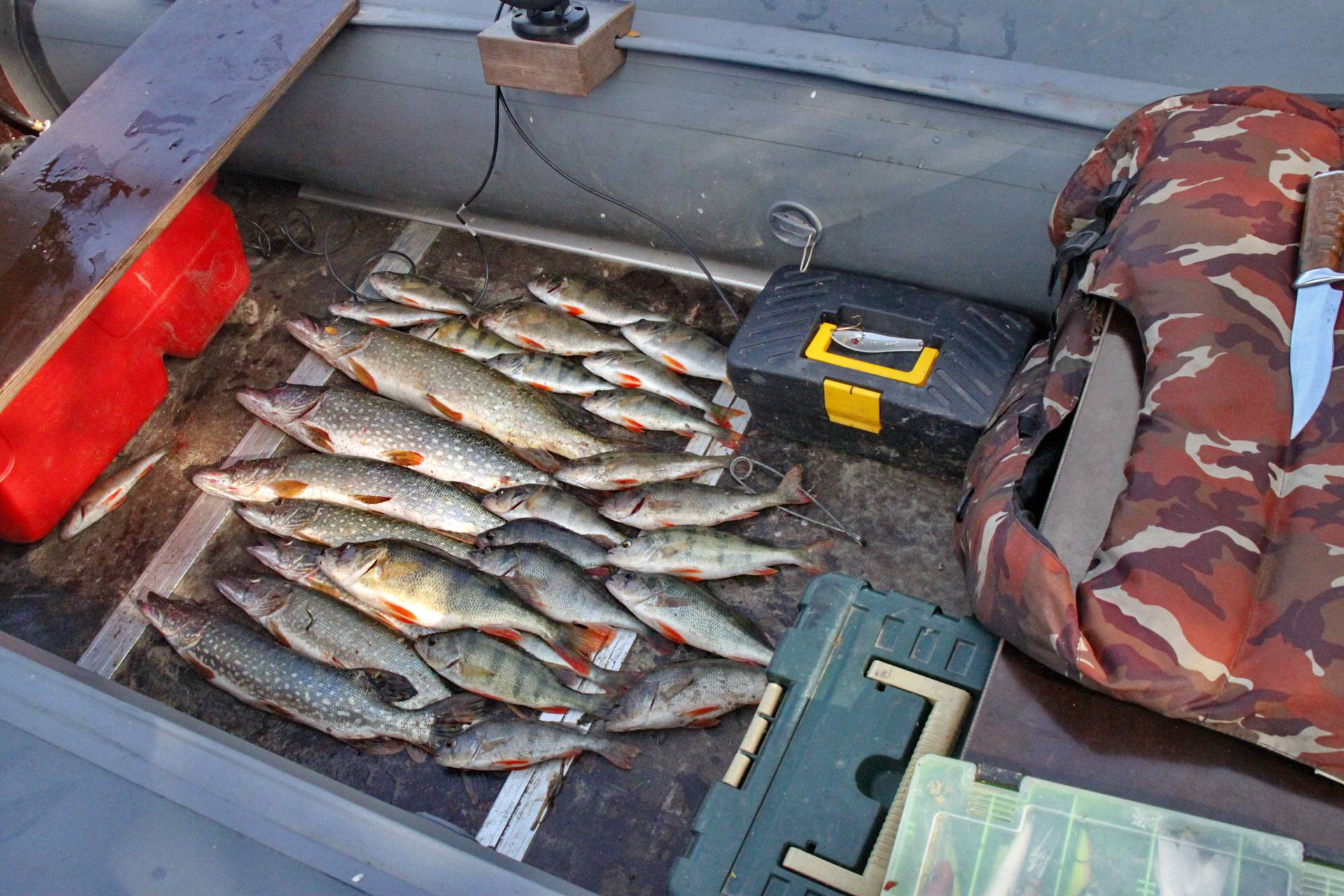 Рыбалка в набережных челнах - платные и бесплатные места для рыбалки