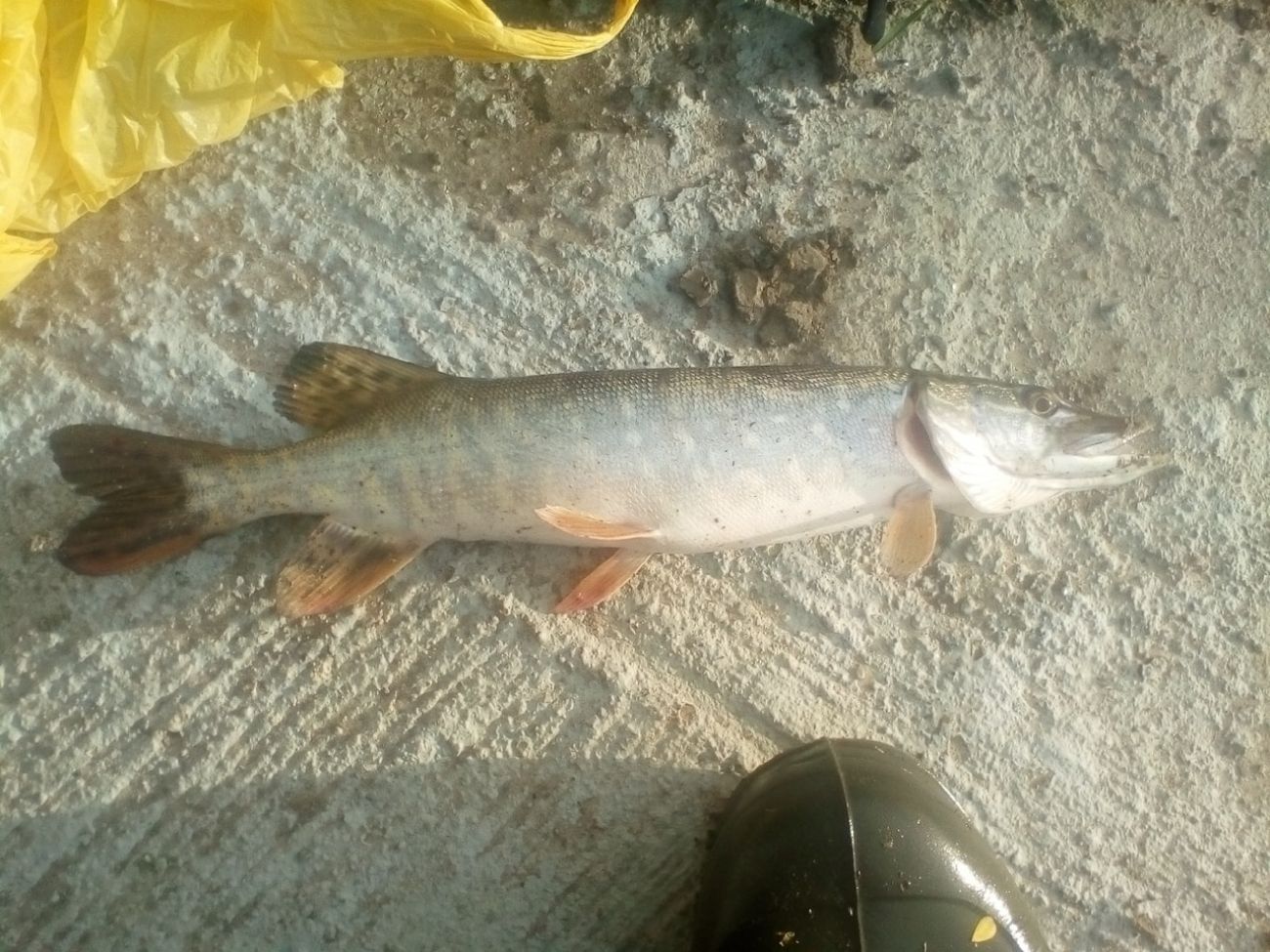 Рыбалка в свердловской области - читайте на сatcher.fish