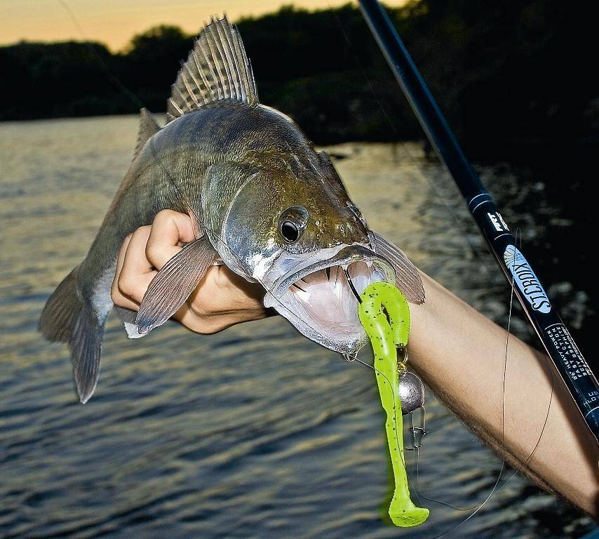 Джиговая ловля – техника рыбалки и правила оснастки спиннинга