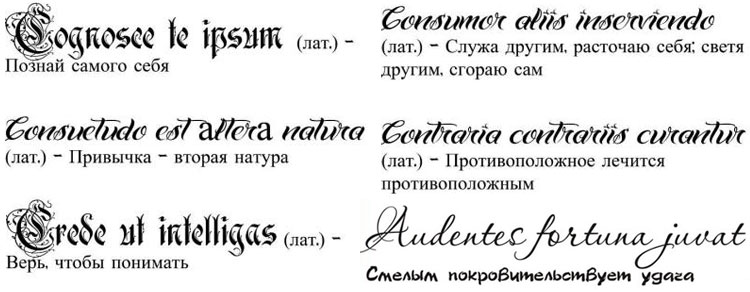 Значение татуировок надписи на латыни с переводом