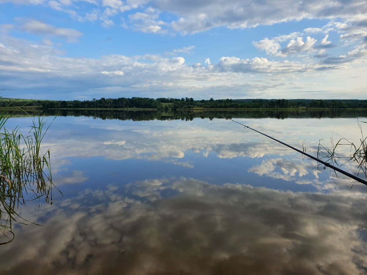 Лучшие места для рыбалки в пензенской области, рыбалка на суре - true fishing