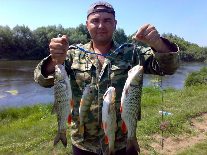 Клев мордовии. Мокша река рыбалка. Мокша река в Мордовии рыба. Рыбалка реке Сура в Пензенской области. Рыбалка на Суре в Мордовии.