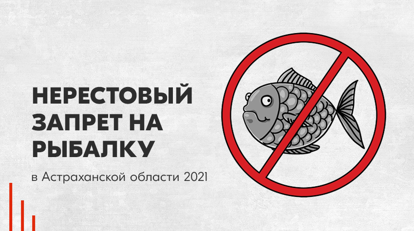 Правила рыбалки на р. дон в 2022 г.