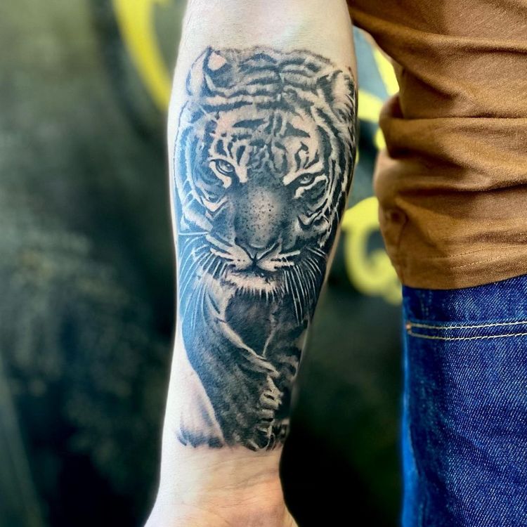 Тату тигра на руке мужские
