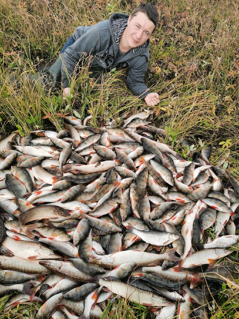 Рыбалка в Нижнем Тагиле и его окрестностях — перечень самых уловистых мест Где клюет рыба и в какое время года лучше отправляться на промысел Особенности рыбалки на реках, озерах и прудах