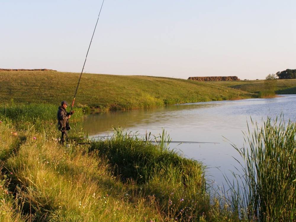 Рыбалка в саратове и области на реках, озерах и платных турбазах