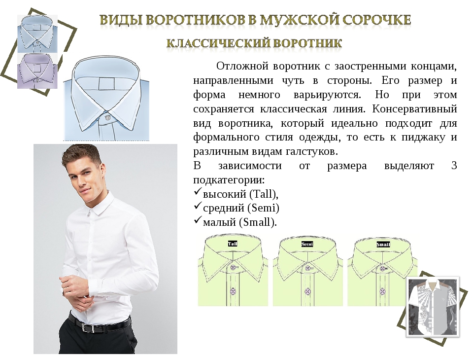 Виды воротников в женской и мужской одежде :: syl.ru