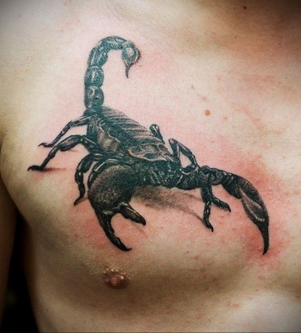 Значение тату скорпион: фото и эскизы