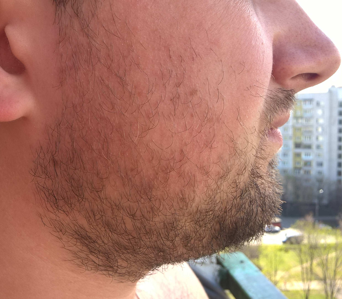 Как сделать бороду гуще: методы и средства правильного отращивания