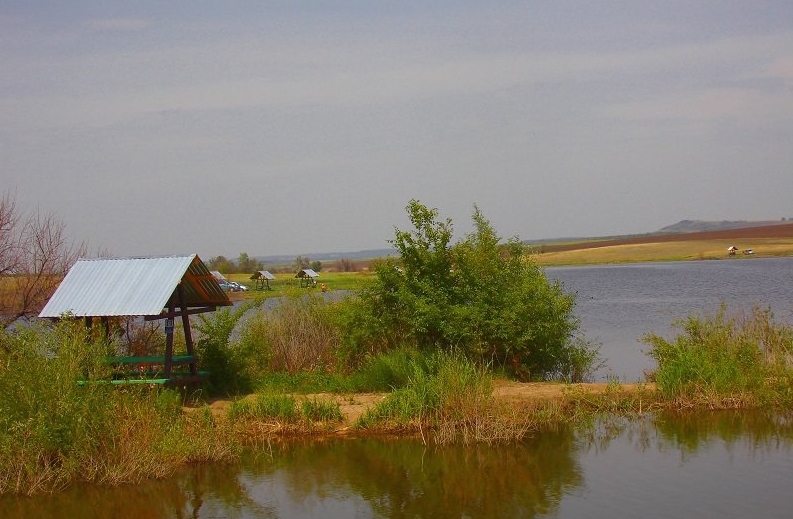 Платная рыбалка в саратовской области – отзывы рыболовов