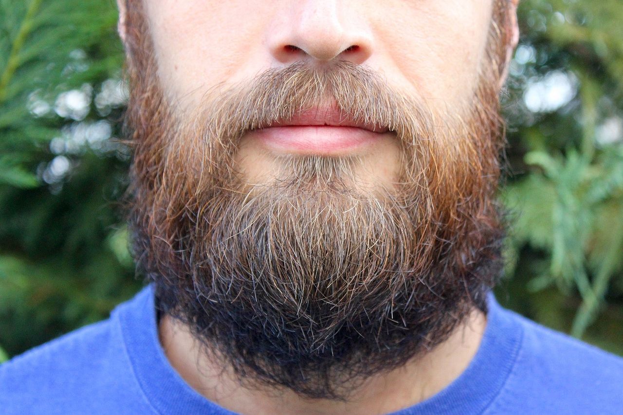 Борода своими руками: 115 фото мастер-класс как пошить красивую бороду в домашних условиях