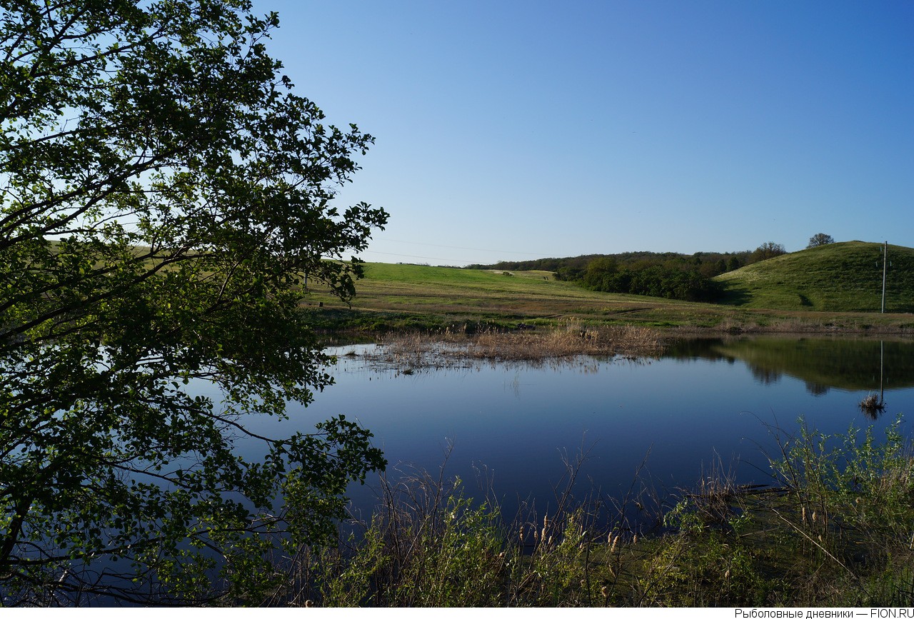Платные пруды в саратовской области - обзор водоёмов, видео с ловлей