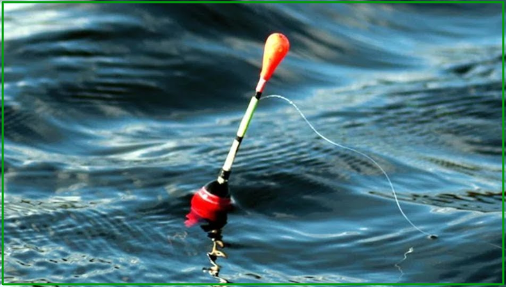 В какое время суток ловить рыбу, влияние времни суток на клев и улов