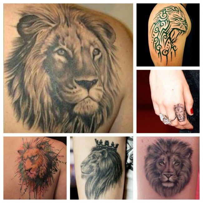 Истинное тату лев значение: более 70 фото и эскизов татуировок