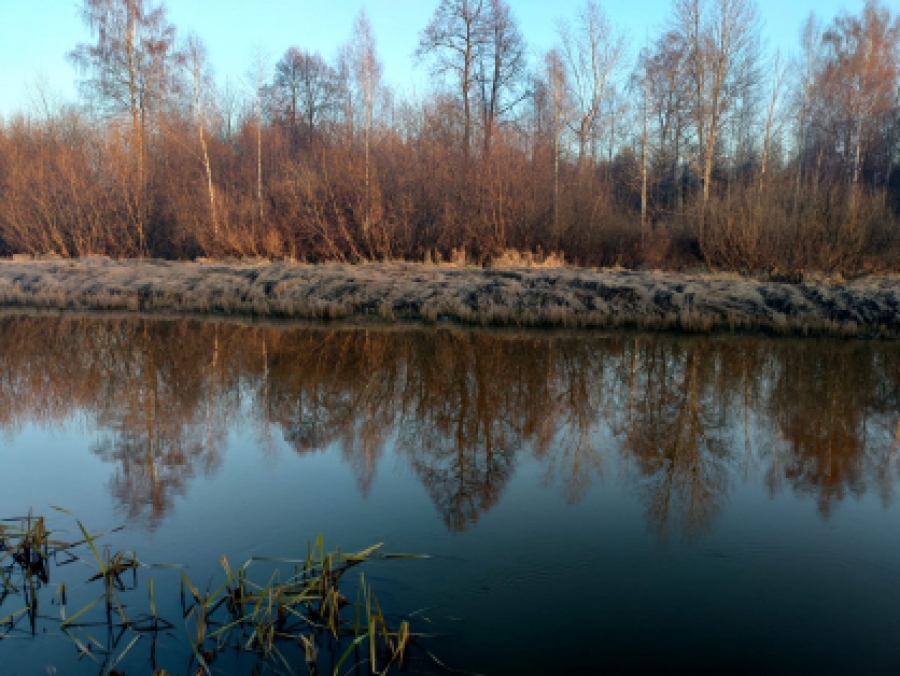 Лучшие рыболовные места ярославской области