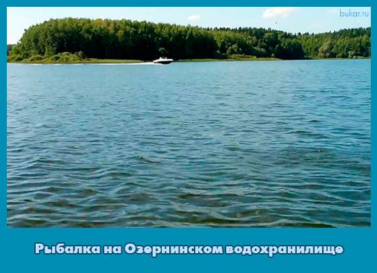 Правила рыбалки в республике татарстан в 2022 г.