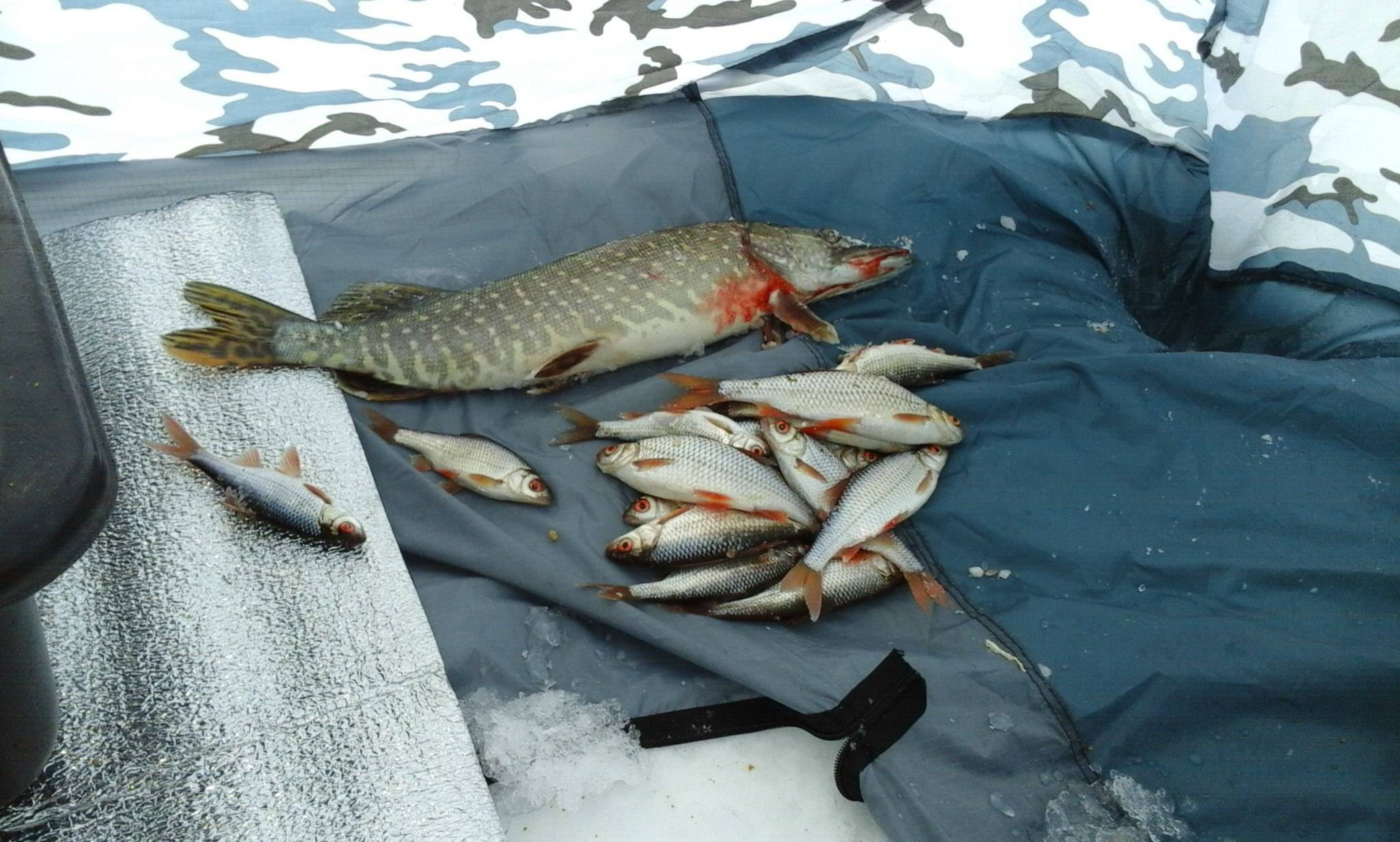 Рыбалка в башкирии (02) | карта рыболовных мест