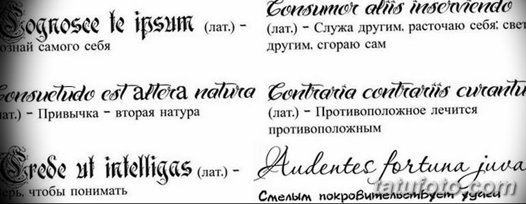 Тату надписи на латыни с переводом для девушек