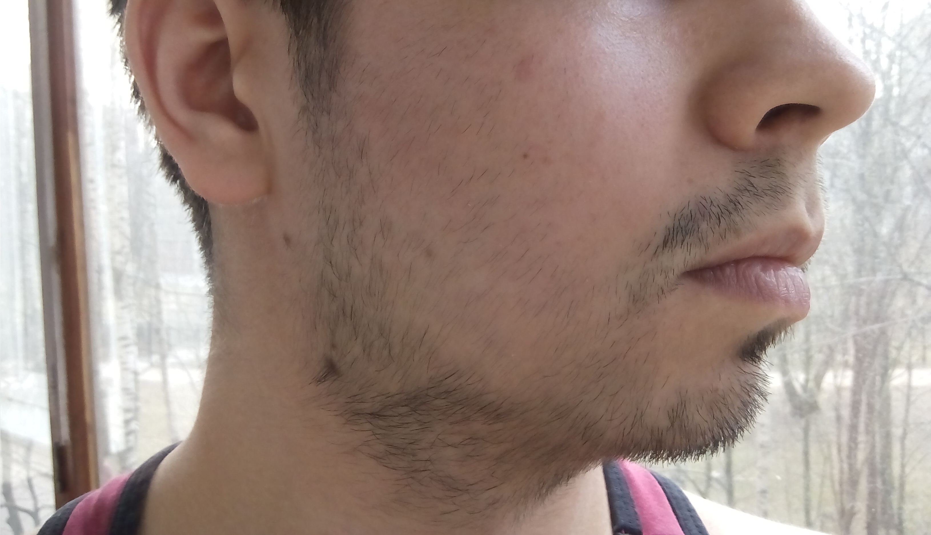 Почему у татар не растет борода
