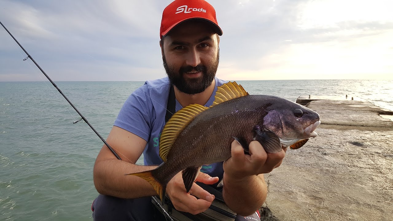 Абхазия: рыбалка на черном море