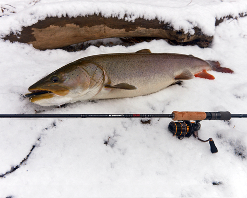 Что надо знать при зимнюю рыбалку Чем хороши подледная ловля в январе и феврале, ловля рыбы на мормышку на льду на реке и озере Как рыбачить зимой начинающим, каковы особенности и технология, на что надо обратить особое внимание потребителям