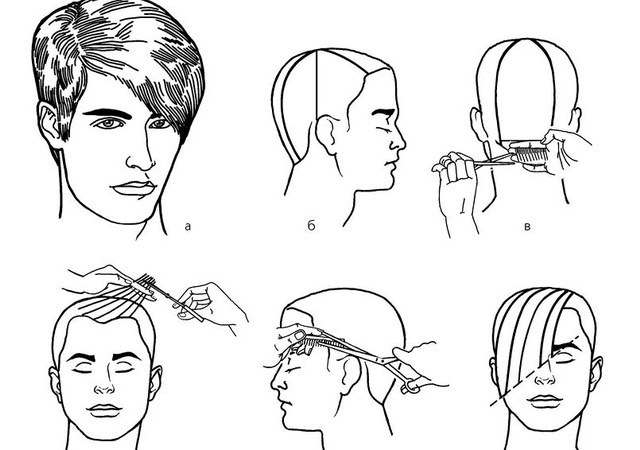 Модные прически для женщин и мужчин: виды стрижек, идеи для разных типов и длины волос, особенности