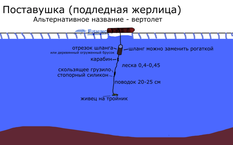 Когда клюет рыба