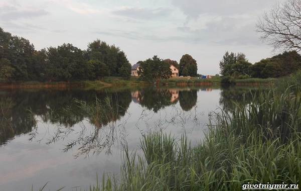 Рыбалка в калининградской области - сегодня, отчеты 2021, вконтакте