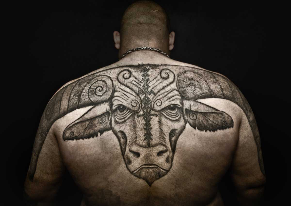 Тату быка на спине мужские