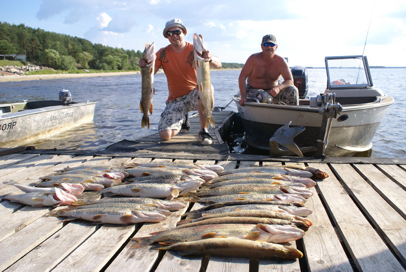 Рыбалка на Рыбинском водохранилище осуществляется как с берега, так и с лодок Какую рыбу можно поймать Какие базы предоставляют услугу ловли рыбы с егерем или гидом