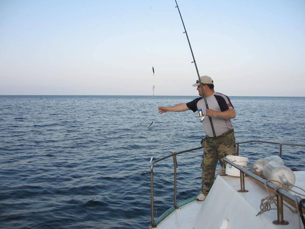 5 прекрасных мест для отличной рыбалки в крыму