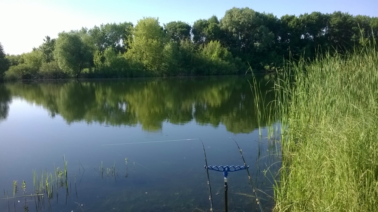 Рыбалка в белгородской области – важные особенности