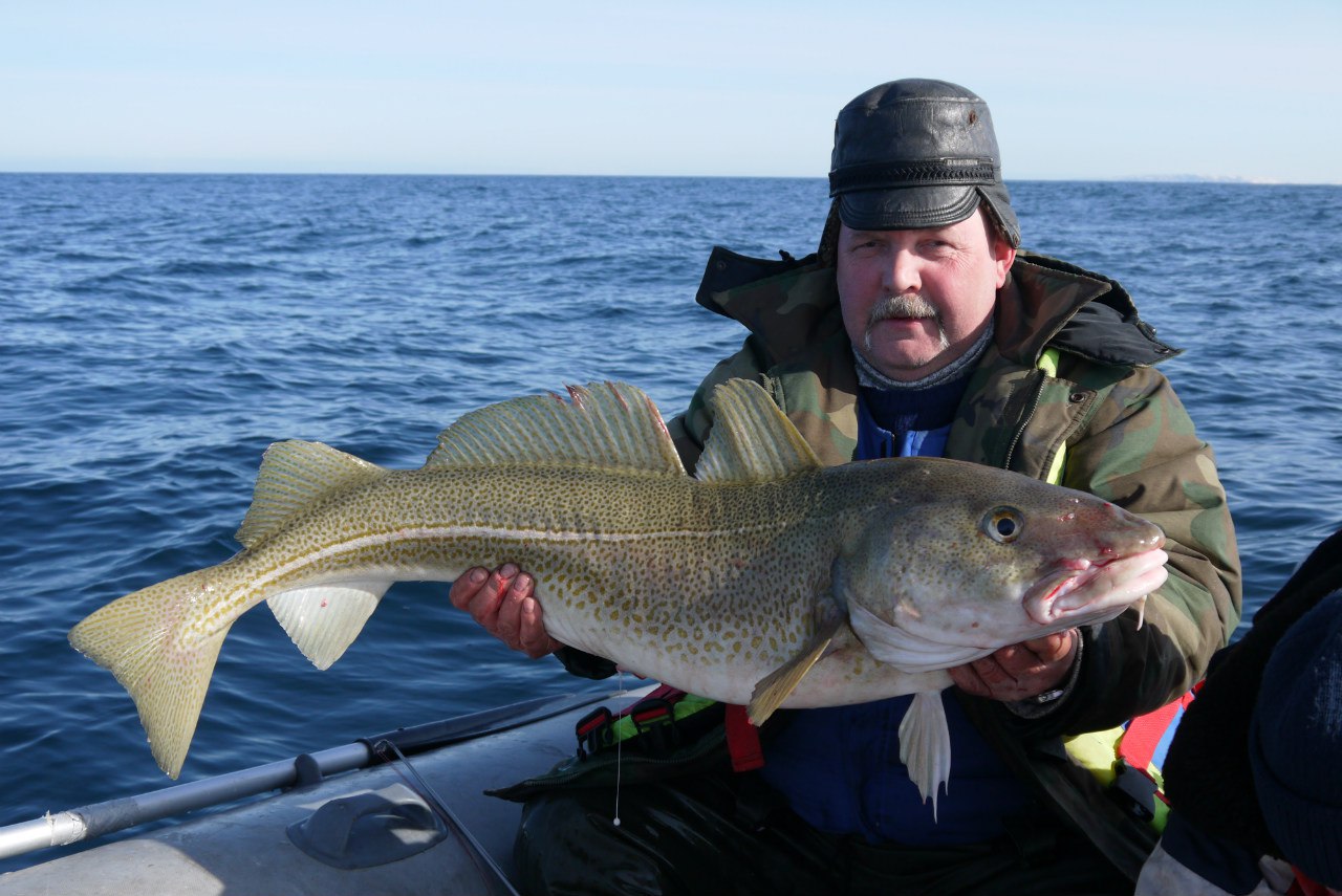 Рыбалка на горбушу в реках кольского полуострова - flyfishalex.ru