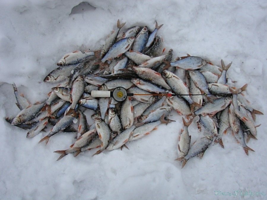 12 лучших рыболовных мест в тюменской области