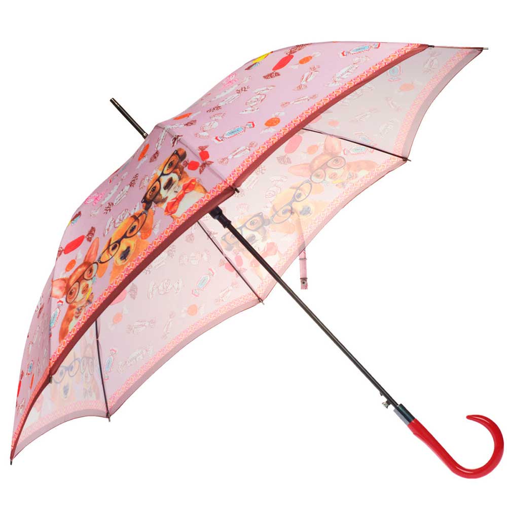 Какой зонт выбрать. Зонт трость Zest. Зонт складной Pasotti. Крутые зонты женские. Разновидности зонтов.