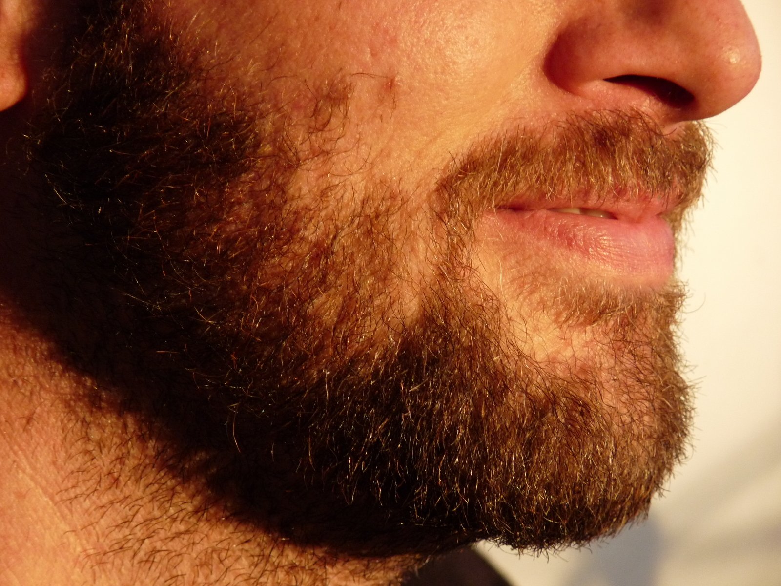 Как часто вы бреете бороду