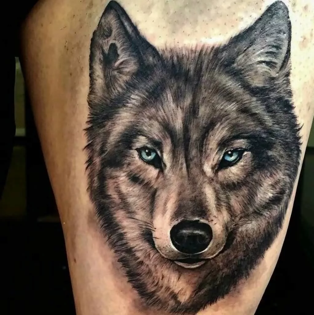Татуировка волка — значение для мужчин и девушек, лучшие эскизы и фото идеи на руке, груди, предплечье, спине, ноге