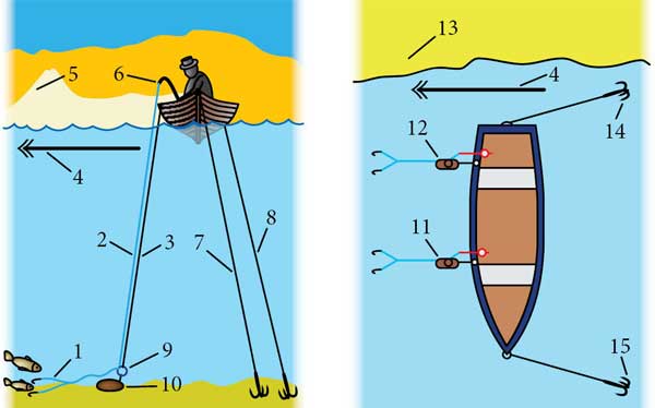 Ловля леща с борта лодки: описание рыбы, особенности конструкции бортовых удочек и оснастки