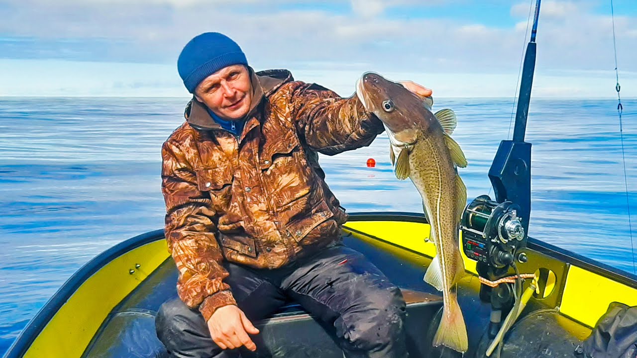 Ловля трески на балтийском море - спортивное рыболовство