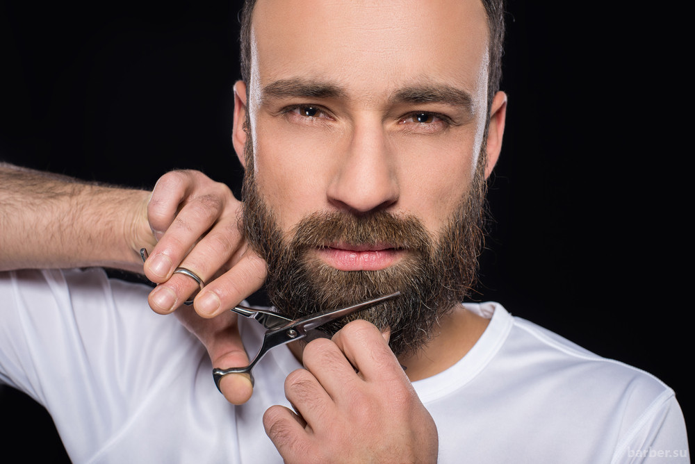 Как ухаживать за бородой правильно :: syl.ru