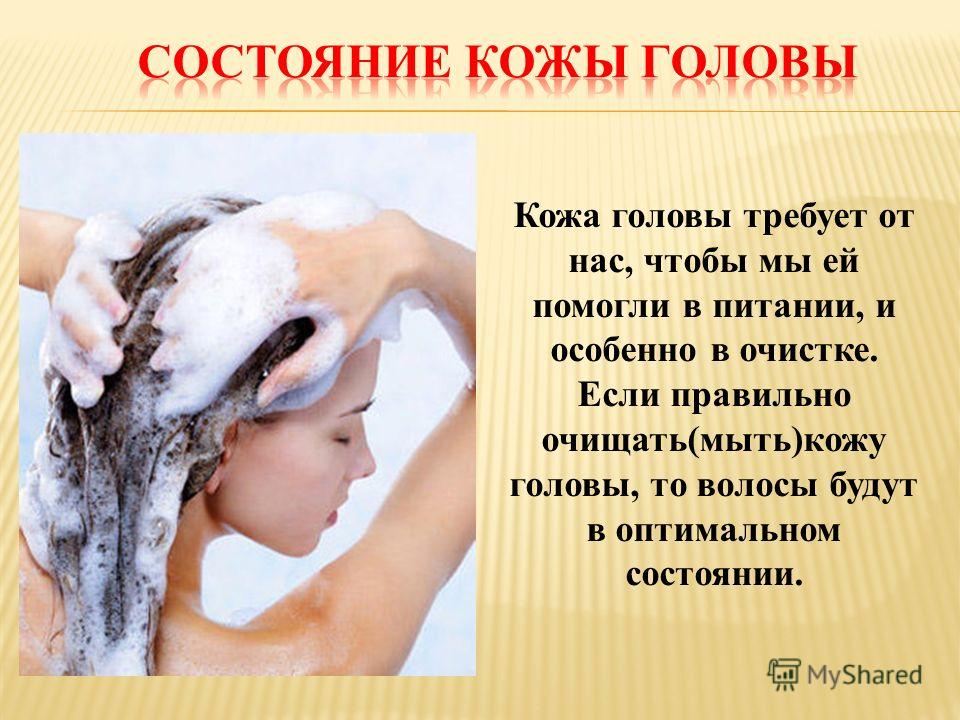 Как часто мыть голову женщине шампунем: график мытья волос