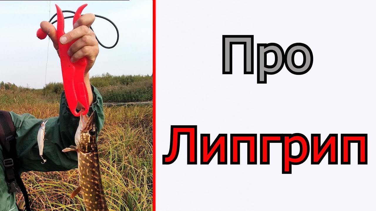 ᐉ захват для рыбы (липгрип) rapala 15 см - обзор и отзывы - fish54.ru