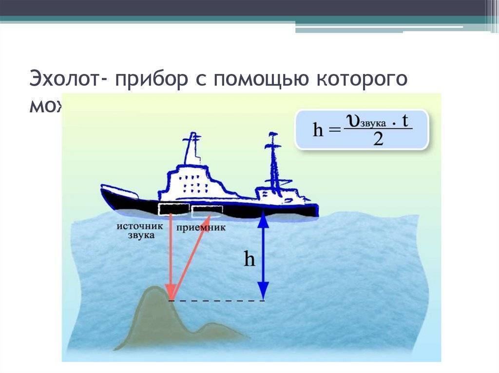Как выбрать эхолот для рыбалки - отзывы экспертов - expertology.ru