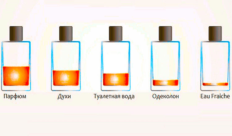 Топ-10 самых стойких мужских парфюмов